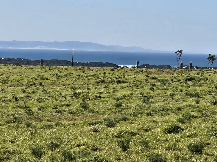 0 Bedroom Property for Sale in Twin Valley Eastern Cape